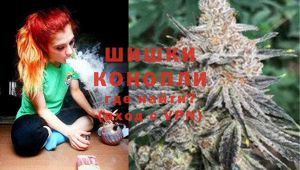стаф Кинешма