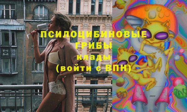 стаф Кинешма