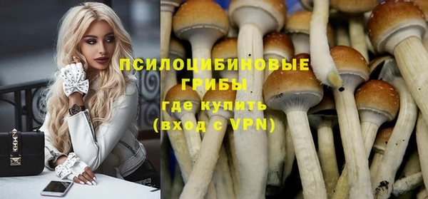 стаф Кинешма