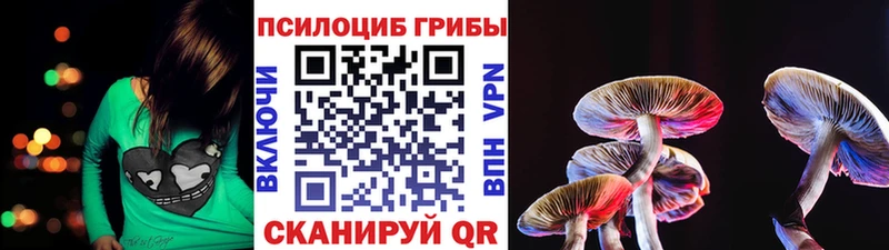 Псилоцибиновые грибы MAGIC MUSHROOMS  Купить  Вятские Поляны 